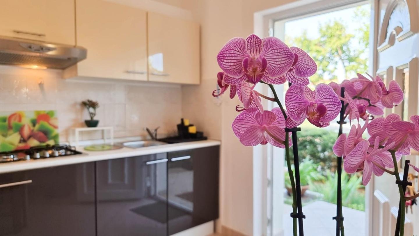 Bosko Apartment Umag Ngoại thất bức ảnh